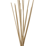 Reed Diffuser Sticks - Pack Of 10
