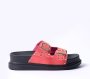 Moulded Slider - 4 Kids / Coral