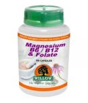 Willow - Magnesium B6 B12 & Folate 100 Capsules