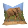 Addo Elephant Loxodonta Luxury Scatter By Fanie Heymans Large