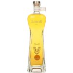 1707 Extra A Ejo