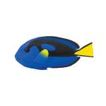 Blue Tang