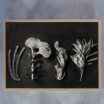 Monochrome Pins 5 Art Print - A3 Framed Canvas With Natural Wood Frame