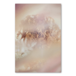Blush Dreams 1 Art Print - A1 No Frame Print Only