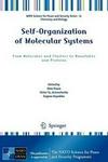 Self-Organization of Molecular Systems Hardback