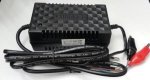 12V 2 Amp Battery Charger