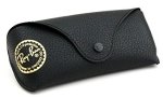 Ray Ban Case