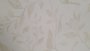 Wallpaper Leaves Cream KA15701