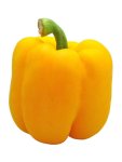 Capsicum Kavango - Yellow Bell Pepper Seed - 5000 Raw Seed