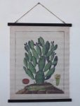 Cactus Hanging Print 72X58CM
