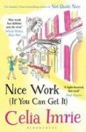 Nice Work If You Can Get It Paperback