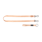 Tandem Walking Lead
