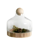 Glass Dome Greenhouse 30CM H X 28CM W - 30CM H X 28CM W