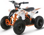 A50 50CC 2 Stroke Quad Bike 4-10 Years - Pullstart - Amazing Beginners Bike