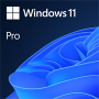 Microsoft Windows 11 Professional DVD Single User License