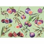 Disposable Placemats - Figs And Olives