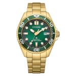 Promaster Eco-drive Gold-tone Diver Watch