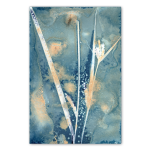 Botany Blue 4 Art Print - A3 No Frame Print Only
