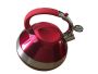 Stove Top Kettle