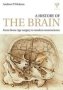 A History Of The Brain - From Stone Age Surgery To Modern Neuroscience   Paperback