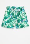 PoP Candy Board Shorts - Blue & Green