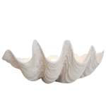 Large Clam Shell Bowl