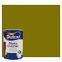 Dulux Gloss Enamel Paint 5L Brilliant Green