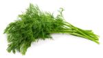 Dill 6 Pack
