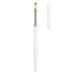 Tgb Paint Brush 01