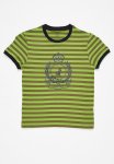 Polo Boys Logan Printed Striped Tee - Green & Brown