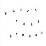Daniel Woolhouse - What's That Sound Vinyl