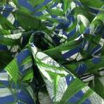 150CM Printed Canvas Fabric Per Meter 7