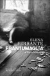 Frantumaglia - An Author& 39 S Journey Told Through Letters Interviews And Occasional Writings Hardcover