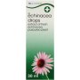 Clicks Supplement Echinacea Drops