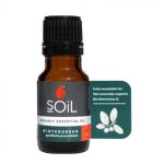 Organic Wintergreen Essential Oil