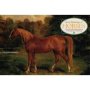 Great Paintings Of Horses - A Delightful Pack Of High-quality Fine Art Gift Cards And Decorative Envelopes   Cards