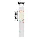 NB273 - - D11 D101 D110 H1S - 12X30MM - 210 Flowers Labels