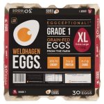 Extra Large 30 Pack