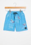 Quiksilver Everyday Mix Vi 15 Boy - Azure Blue