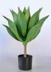 Aloe Plant In Pot – 63X35CM