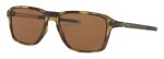 Oakley Wheel House Polarized