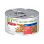 Feline Senior Vitality 7+ Salmon & Vegetable Stew Tin - 82G