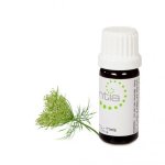 Escentia Carrot Seed Pure Essential Oil - 10ML