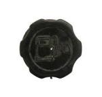 Loose MINI Quad Fuel Cap