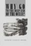 Why Go to the Deep End of the Ocean? (Hardcover)