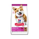 Adult Small & MINI With Lamb & Rice Dog Food - 6KG