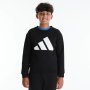 Adidas Boys Big Logo Crew Top