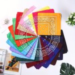 53.34CM Quick-dry Polyester Paisley Bandana - Hip-hop Style Non-sweat Absorbing Perfect Gift For Men