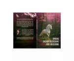 Among Cherry Blossoms And Unicorns