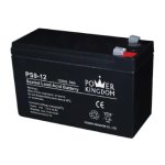 PS9-12 12V 9AH Battery